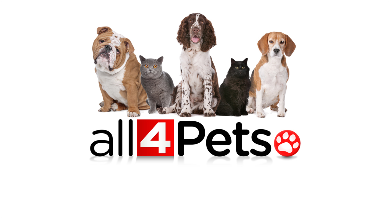 Local 4/ClickOnDetroit launches new station effort to bring...